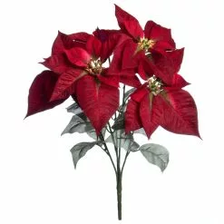 Best Pirce 🎁 Dark Red Velvet Poinsettia Bush by Ashland® ⭐