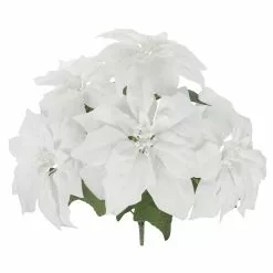 Brand new 🛒 White Poinsettia Bush by Ashland® 🛒 -Ashland Sale Store 10700148 2
