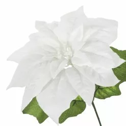 Brand new 🛒 White Poinsettia Bush by Ashland® 🛒 -Ashland Sale Store 10700148 3
