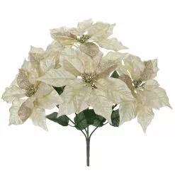 Promo ✔️ Champagne Poinsettia Bush by Ashland® 👏
