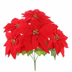 Cheapest ⌛ Red Poinsettia Bush by Ashland® 🧨