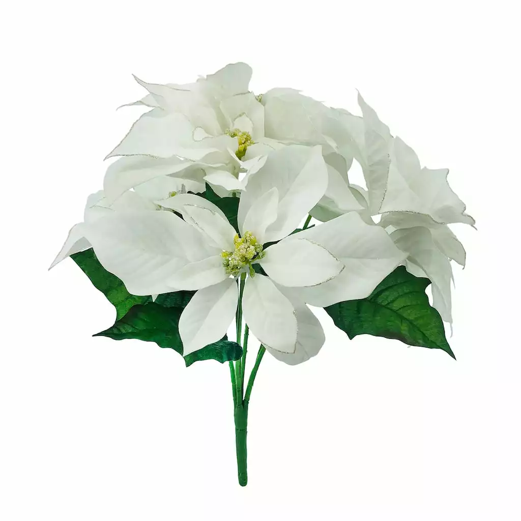 Budget โค๏ธ White Poinsettia Bush by Ashland® ๐ 3 Budget โค๏ธ White Poinsettia Bush by Ashland® ๐