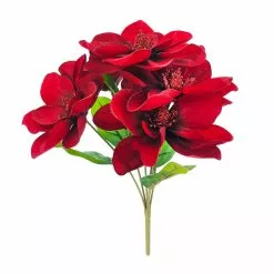 Best deal ⌛ Burgundy Magnolia Bush by Ashland® 🧨