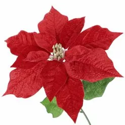 Brand new 😀 Red Poinsettia Bush by Ashland® 😍 -Ashland Sale Store 10700176 3