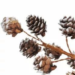 Brand new 👏 Snowy Pinecone Pick by Ashland® 💯 -Ashland Sale Store 10700365 4