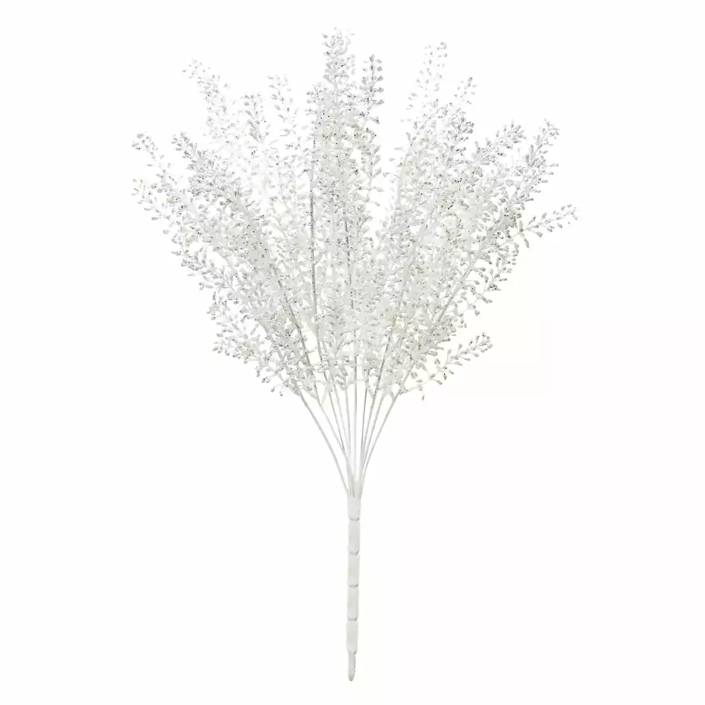 Budget ✔️ White Berry Bush by Ashland® ⌛ 3 Budget ✔️ White Berry Bush by Ashland® ⌛