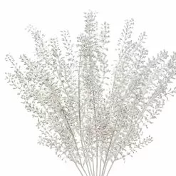 Budget ✔️ White Berry Bush by Ashland® ⌛ 6 Budget ✔️ White Berry Bush by Ashland® ⌛ -Ashland Sale Store 10700376 2