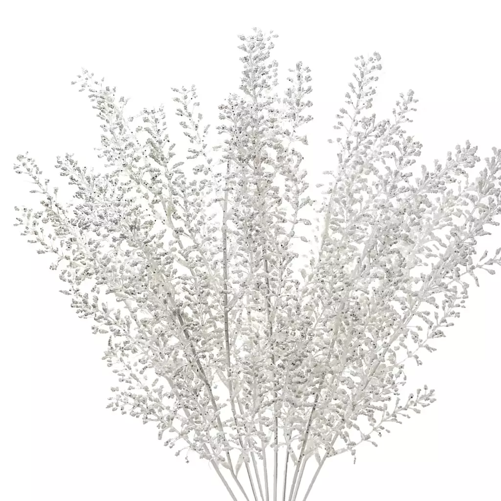 Budget ✔️ White Berry Bush by Ashland® ⌛ 4 Budget ✔️ White Berry Bush by Ashland® ⌛ - Image 2