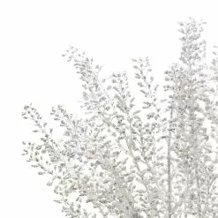 Budget ✔️ White Berry Bush by Ashland® ⌛ 7 Budget ✔️ White Berry Bush by Ashland® ⌛ -Ashland Sale Store 10700376 3