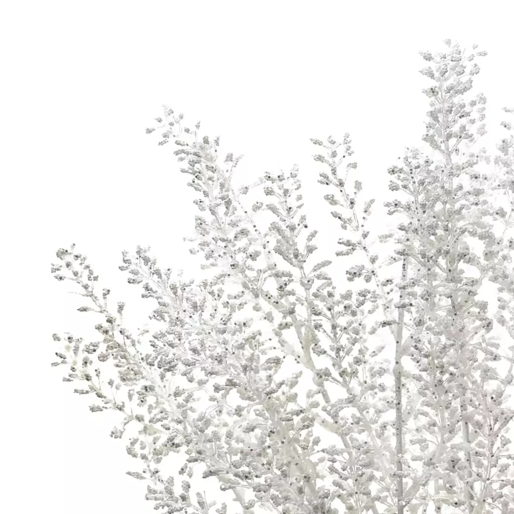 Budget ✔️ White Berry Bush by Ashland® ⌛ 5 Budget ✔️ White Berry Bush by Ashland® ⌛ - Image 3