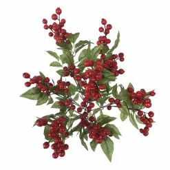 Budget ⭐ Red Cranberry Bush by Ashland® ❤️ -Ashland Sale Store 10700403 2