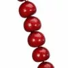 Brand new 🥰 6ft. Red Holly Berry Garland by Ashland® ✔️ 1 Brand new 🥰 6ft. Red Holly Berry Garland by Ashland® ✔️ -Ashland Sale Store 10700694 1