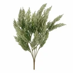 Cheap 👏 Juniper Bush by Ashland® ❤️