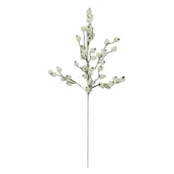 Top 10 😀 White Berry Twig Stem by Ashland® ✔️