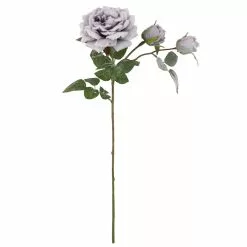 Promo 🧨 Gray Snowy Rose Stem by Ashland® ✨