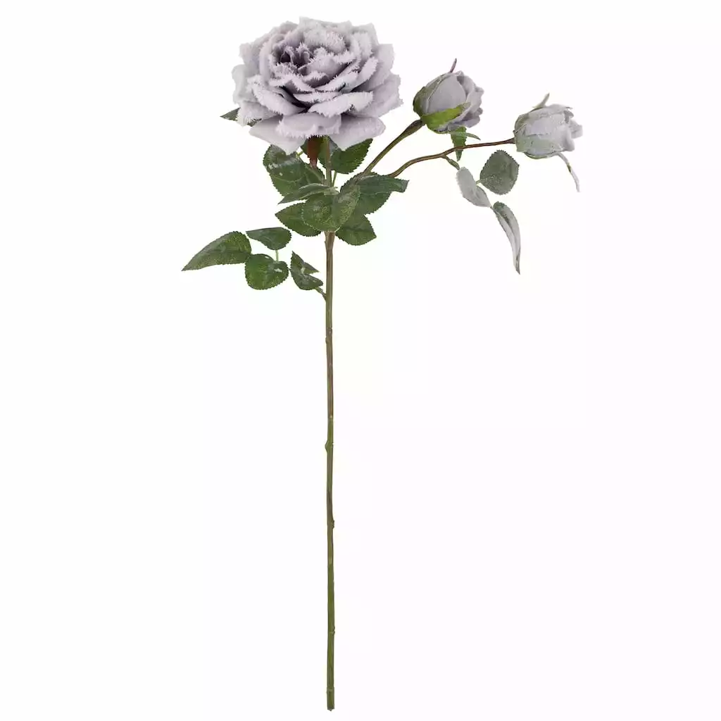 Promo 🧨 Gray Snowy Rose Stem by Ashland® ✨ 3 Promo 🧨 Gray Snowy Rose Stem by Ashland® ✨