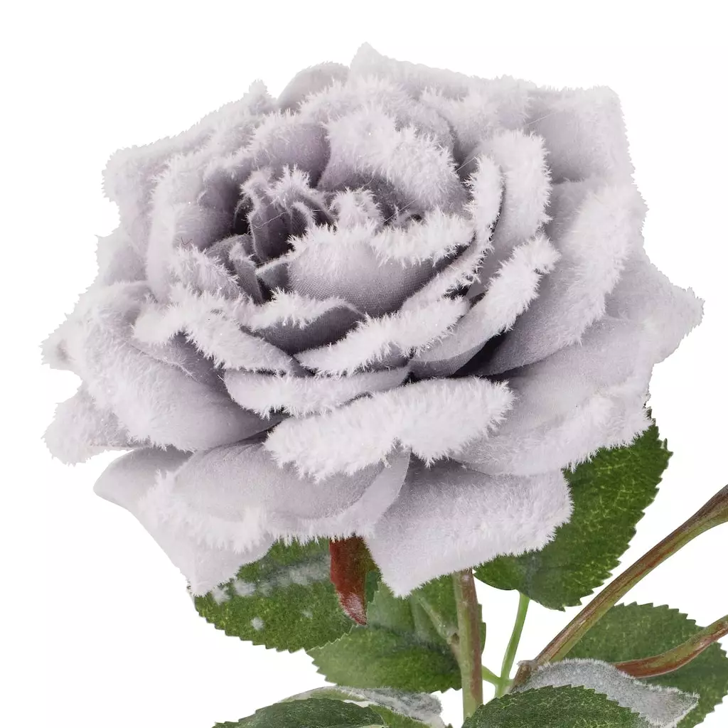 Promo 🧨 Gray Snowy Rose Stem by Ashland® ✨ 4 Promo 🧨 Gray Snowy Rose Stem by Ashland® ✨ - Image 2
