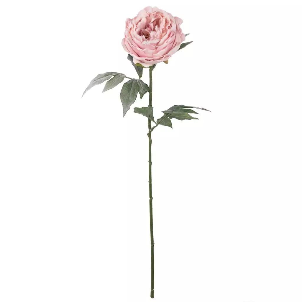 New 🌟 Light Pink Snowy Peony Stem by Ashland® 💯 3 New 🌟 Light Pink Snowy Peony Stem by Ashland® 💯