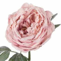 New 🌟 Light Pink Snowy Peony Stem by Ashland® 💯 5 New 🌟 Light Pink Snowy Peony Stem by Ashland® 💯 -Ashland Sale Store 10701015 2