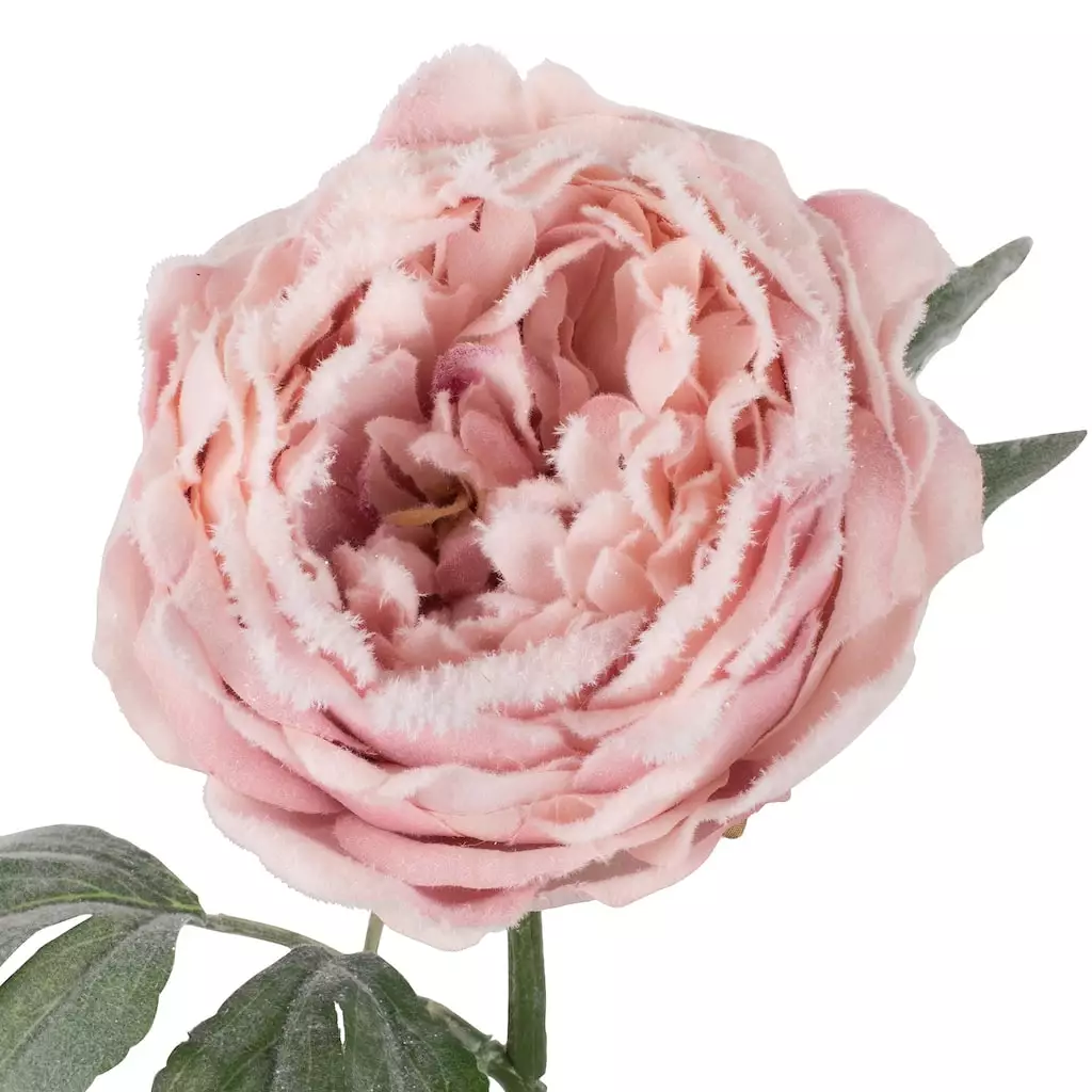 New 🌟 Light Pink Snowy Peony Stem by Ashland® 💯 4 New 🌟 Light Pink Snowy Peony Stem by Ashland® 💯 - Image 2