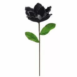 Best reviews of 👏 Black Velvet Magnolia Stem by Ashland® ⌛