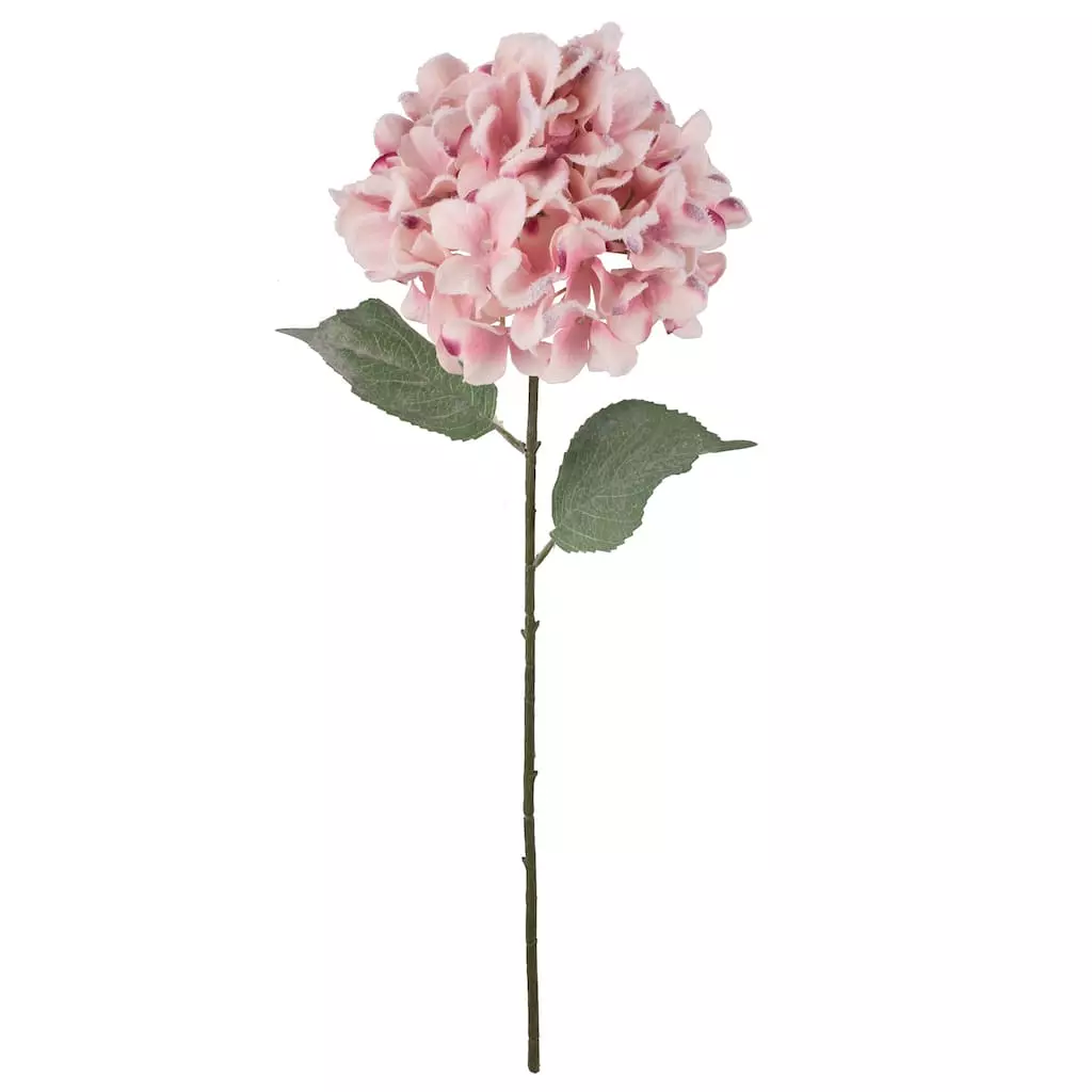 Cheap 😀 Pink Snowy Hydrangea Stem by Ashland® ✨ 3 Cheap 😀 Pink Snowy Hydrangea Stem by Ashland® ✨