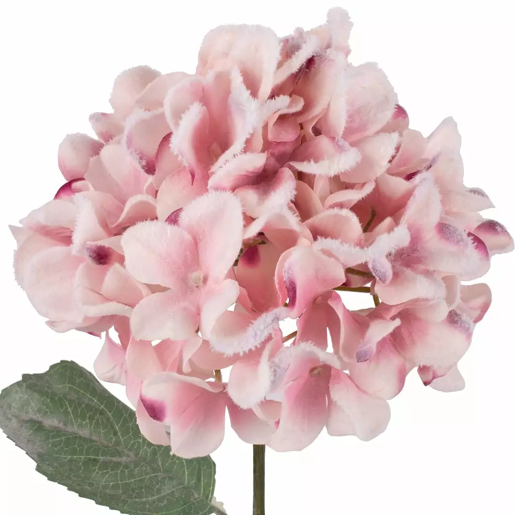 Cheap 😀 Pink Snowy Hydrangea Stem by Ashland® ✨ 4 Cheap 😀 Pink Snowy Hydrangea Stem by Ashland® ✨ - Image 2