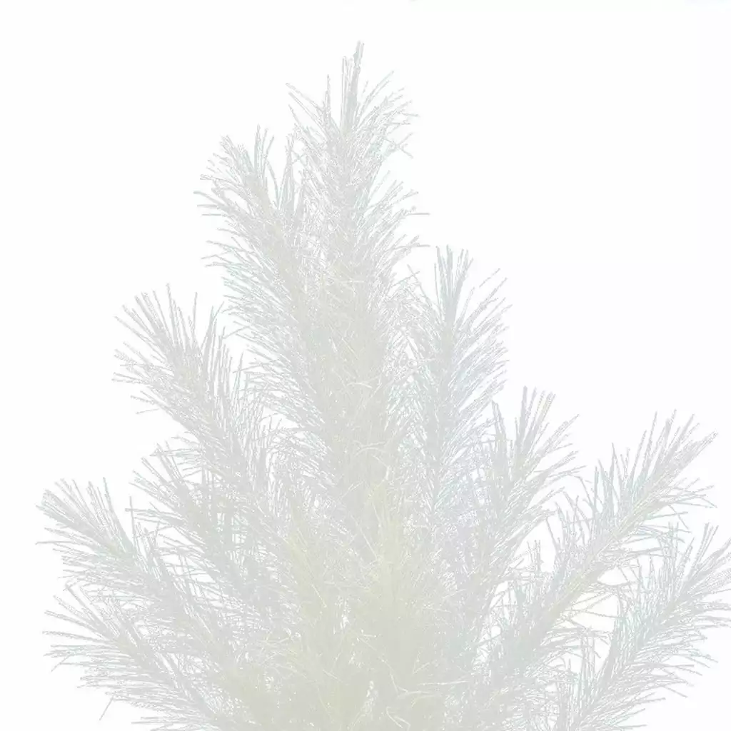 Best deal ✨ White Pampas Branch Stem by Ashland® ⭐ 4 Best deal ✨ White Pampas Branch Stem by Ashland® ⭐ - Image 2