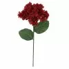 Best Sale ✔️ Iced Red Wild Hydrangea Stem by Ashland® ⭐ -Ashland Sale Store 10701046 1