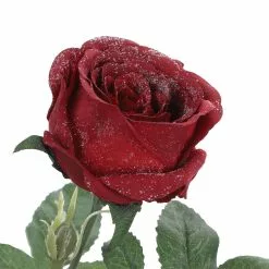 Cheap ⌛ Iced Red Rose Stem by Ashland® 🤩 -Ashland Sale Store 10701048 3