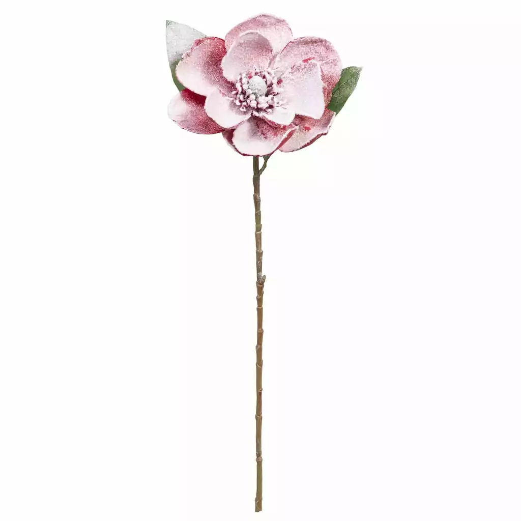 Buy โ๏ธ Red Snow Covered Magnolia Stem by Ashland® ๐งจ 3 Buy โ๏ธ Red Snow Covered Magnolia Stem by Ashland® ๐งจ