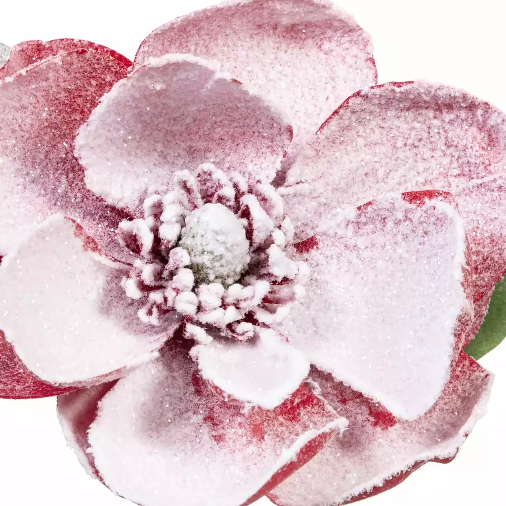 Buy โ๏ธ Red Snow Covered Magnolia Stem by Ashland® ๐งจ 4 Buy โ๏ธ Red Snow Covered Magnolia Stem by Ashland® ๐งจ - Image 2