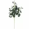 Cheap 😀 Dark Green Eucalyptus Stem by Ashland® 🌟 -Ashland Sale Store 10701058 1