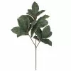 Best Pirce 😀 Dark Green Magnolia Leaf Stem by Ashland® 🧨