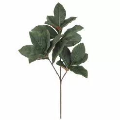 Best Pirce 😀 Dark Green Magnolia Leaf Stem by Ashland® 🧨