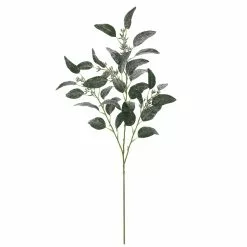 Best reviews of 🧨 Dark Green Iced Eucalyptus Leaf Stem by Ashland® 😀
