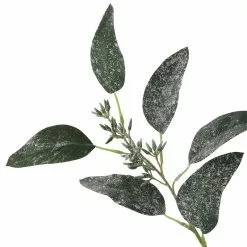 Best reviews of 🧨 Dark Green Iced Eucalyptus Leaf Stem by Ashland® 😀 -Ashland Sale Store 10701061 3