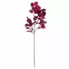 Best reviews of ❤️ Purple Eucalyptus Foliage Stem by Ashland® 🤩 -Ashland Sale Store 10701067 1