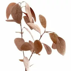 Best Pirce 🤩 Pink Velvet Eucalyptus Spray by Ashland® 😀 -Ashland Sale Store 10701287 2