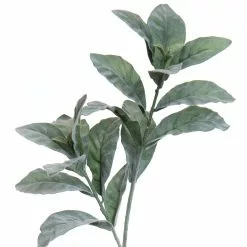 New ✔️ Lamb's Ear Stem by Ashland® ⭐ -Ashland Sale Store 10701290 2