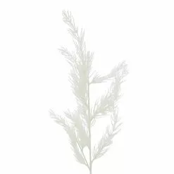 Budget 🔔 White Stem Pine by Ashland® 👏 -Ashland Sale Store 10701302 2