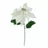 Coupon ⭐ Silver Poinsettia Stem by Ashland® 👍 -Ashland Sale Store 10701317 1