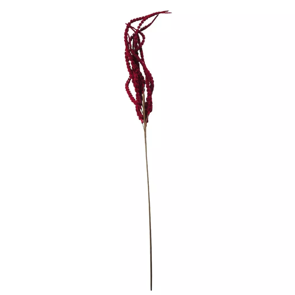 Deals โจ Red Amaranthus Stem by Ashland® ๐ 3 Deals โจ Red Amaranthus Stem by Ashland® ๐