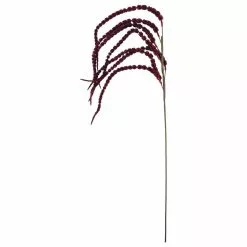 Deals โจ Red Amaranthus Stem by Ashland® ๐ 7 Deals โจ Red Amaranthus Stem by Ashland® ๐ -Ashland Sale Store 10701321 3