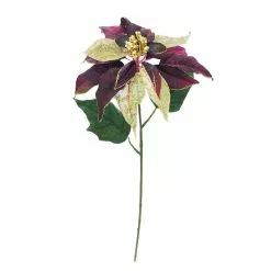 Best Pirce ⌛ Wine & Gold Poinsettia Stem by Ashland® 👍