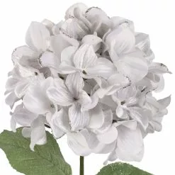 Buy 🛒 White Hydrangea Stem by Ashland® ⭐ 5 Buy 🛒 White Hydrangea Stem by Ashland® ⭐ -Ashland Sale Store 10701330 2