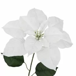 Hot Sale 🔔 Glittery White Poinsettia Stem by Ashland® 🧨 -Ashland Sale Store 10701333 3