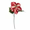 Cheapest ⌛ Red & White Poinsettia Stem by Ashland® 🔥 -Ashland Sale Store 10701339 1
