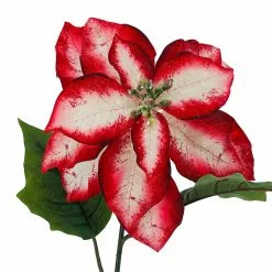 Cheapest ⌛ Red & White Poinsettia Stem by Ashland® 🔥 -Ashland Sale Store 10701339 2