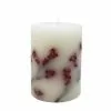 Flash Sale ⭐ 3" x 4" Twig & Berry Scented Pillar Candle by Ashland® 🔔 2 Flash Sale ⭐ 3" x 4" Twig & Berry Scented Pillar Candle by Ashland® 🔔 -Ashland Sale Store 10701859 1